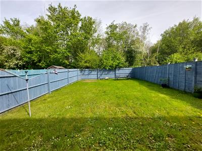 Picture 20